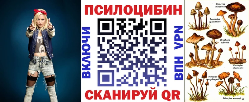 наркотики  Кисловодск  Псилоцибиновые грибы Psilocybine cubensis 