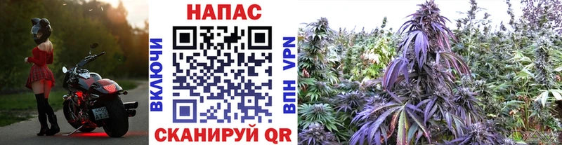 Конопля марихуана  сколько стоит  MEGA ТОР  Кисловодск 